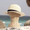 Sombrero 6