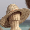 Sombrero 8